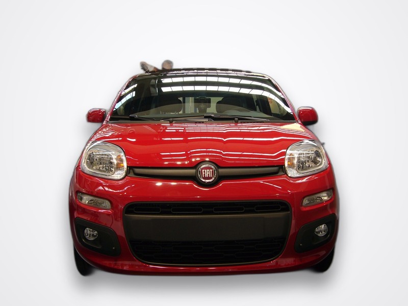 Fiat Panda gps tracking